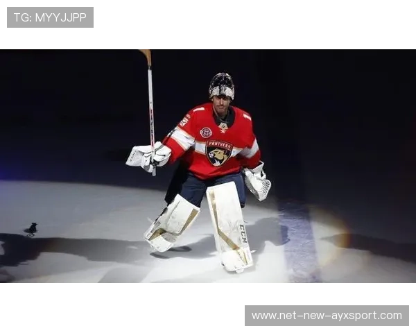 NHL老将宣布退役，职业生涯回顾感人，nhl全部队伍